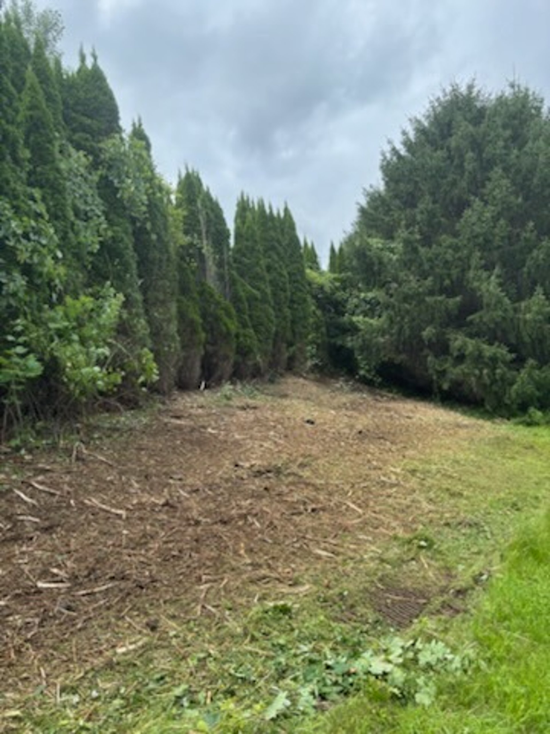 gray computer monitor