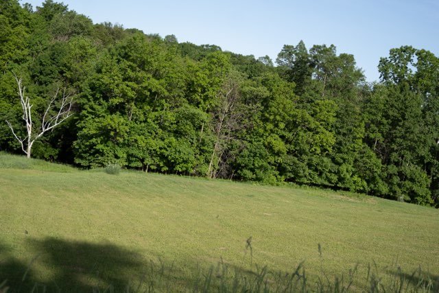 After clearing along a field edge