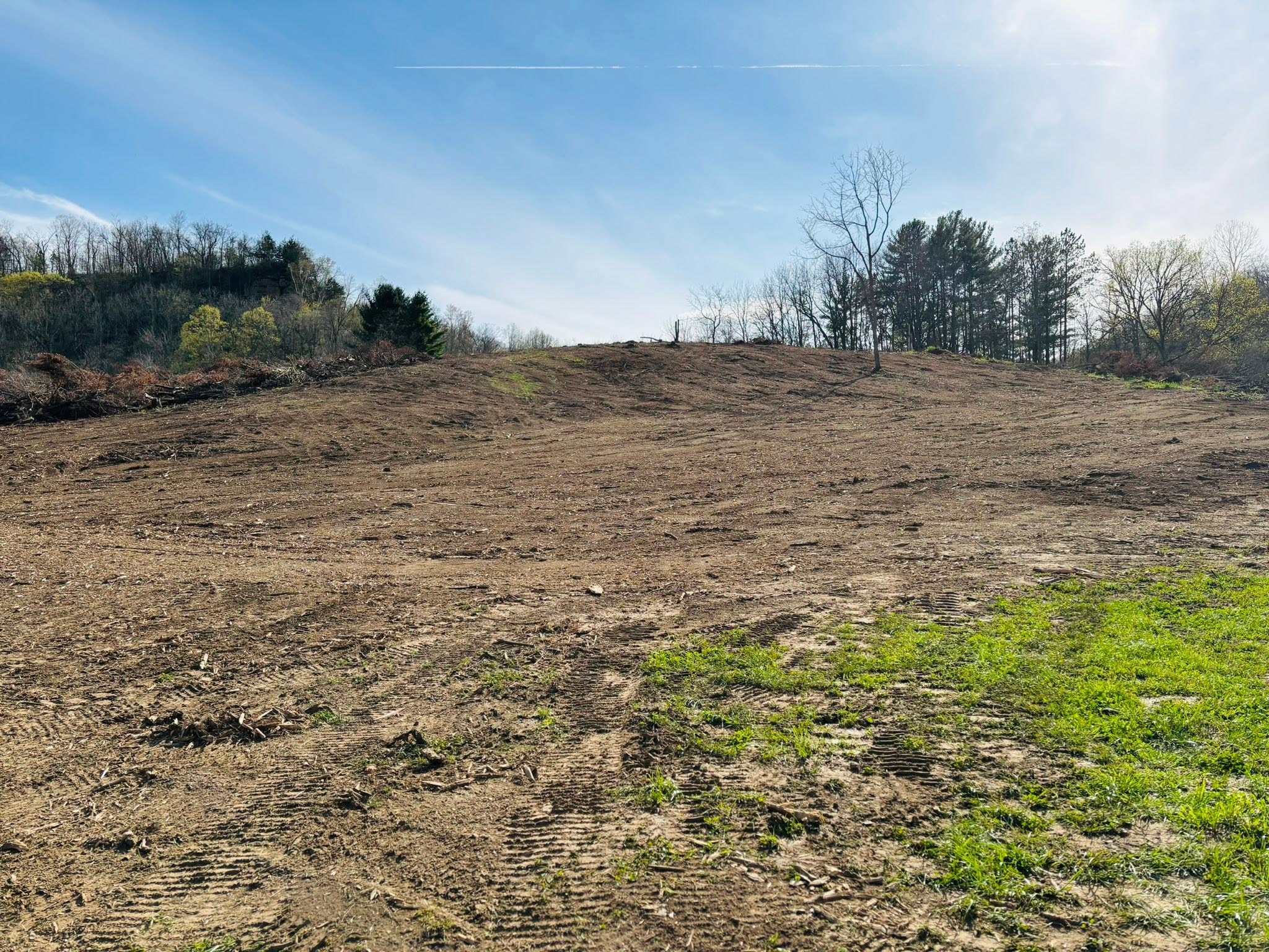 Cleared hillside with equipment tracks and perimeter trees